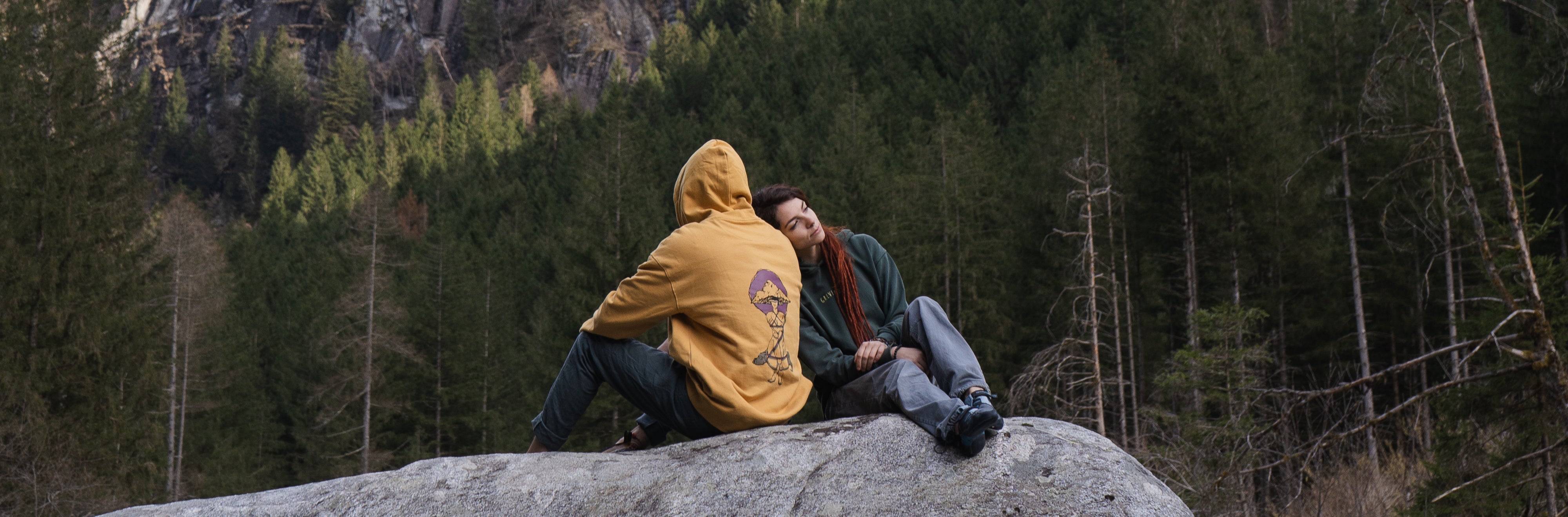 Greve Hoodies