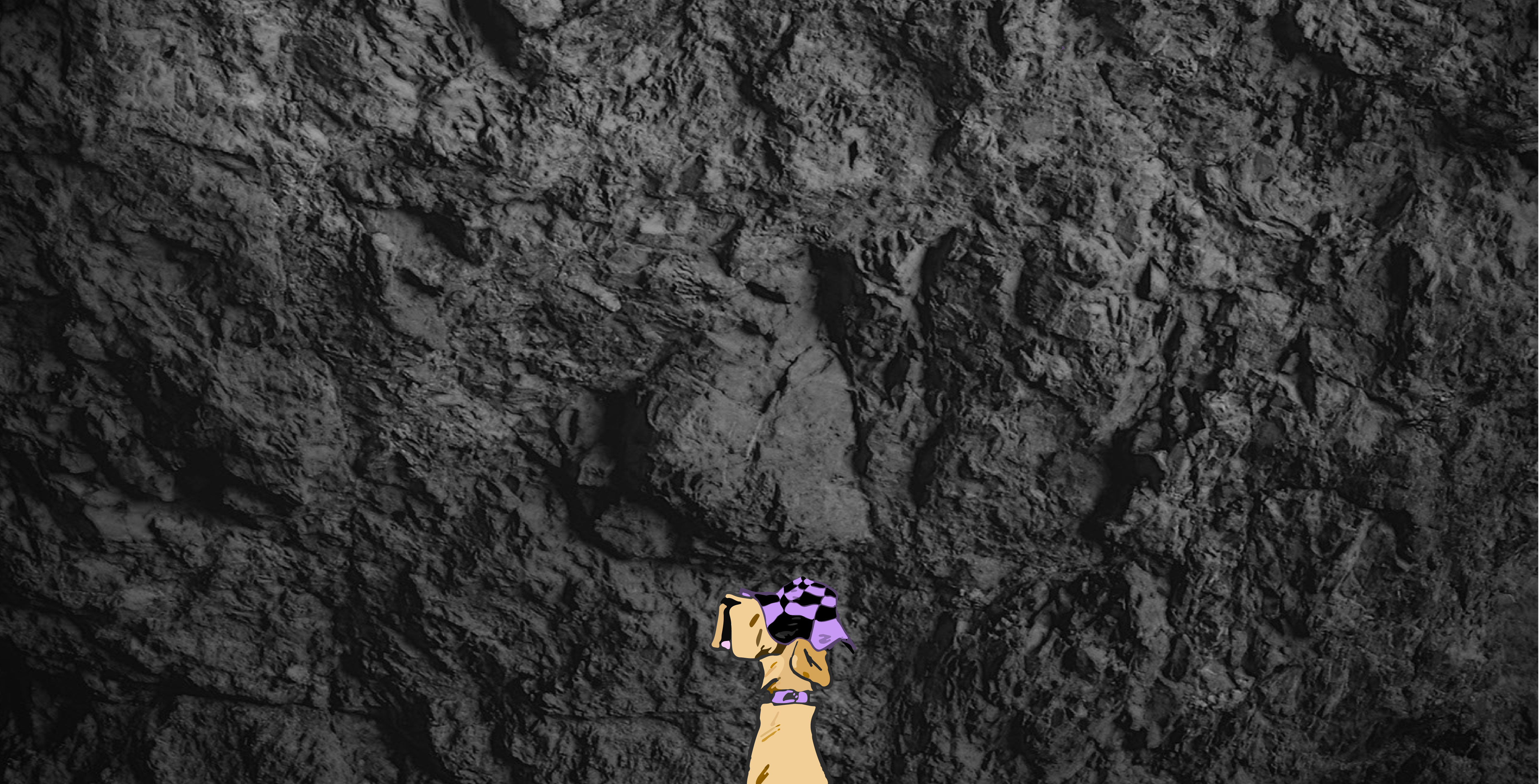 Newsletter_roccia_3.png